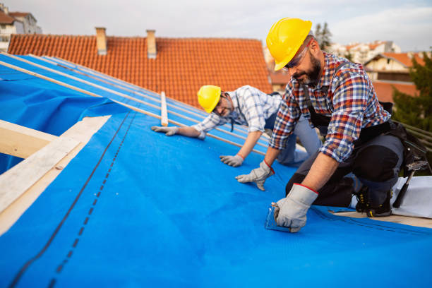 Best Roof Ventilation Installation  in Cane Savannah, SC